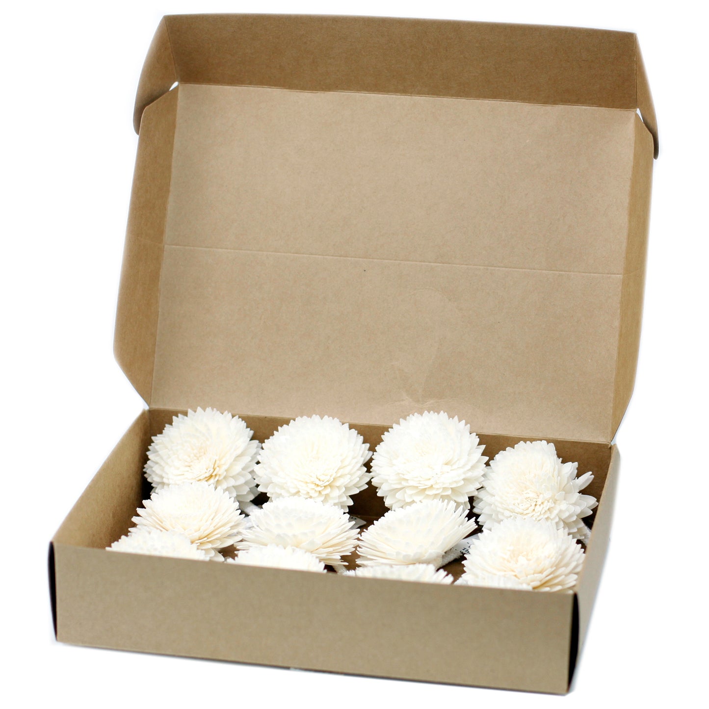 Diffuser Flowers - Large Carnation on String