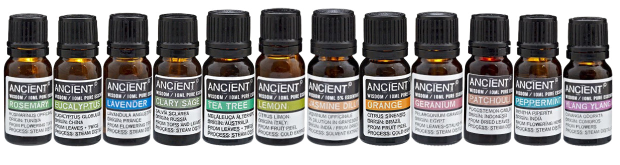 Aromatherapy Starter Box - Includes 12 Essential Oils