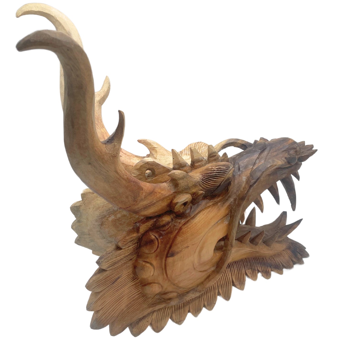 Live Size Dragon Head Carving - 30cm