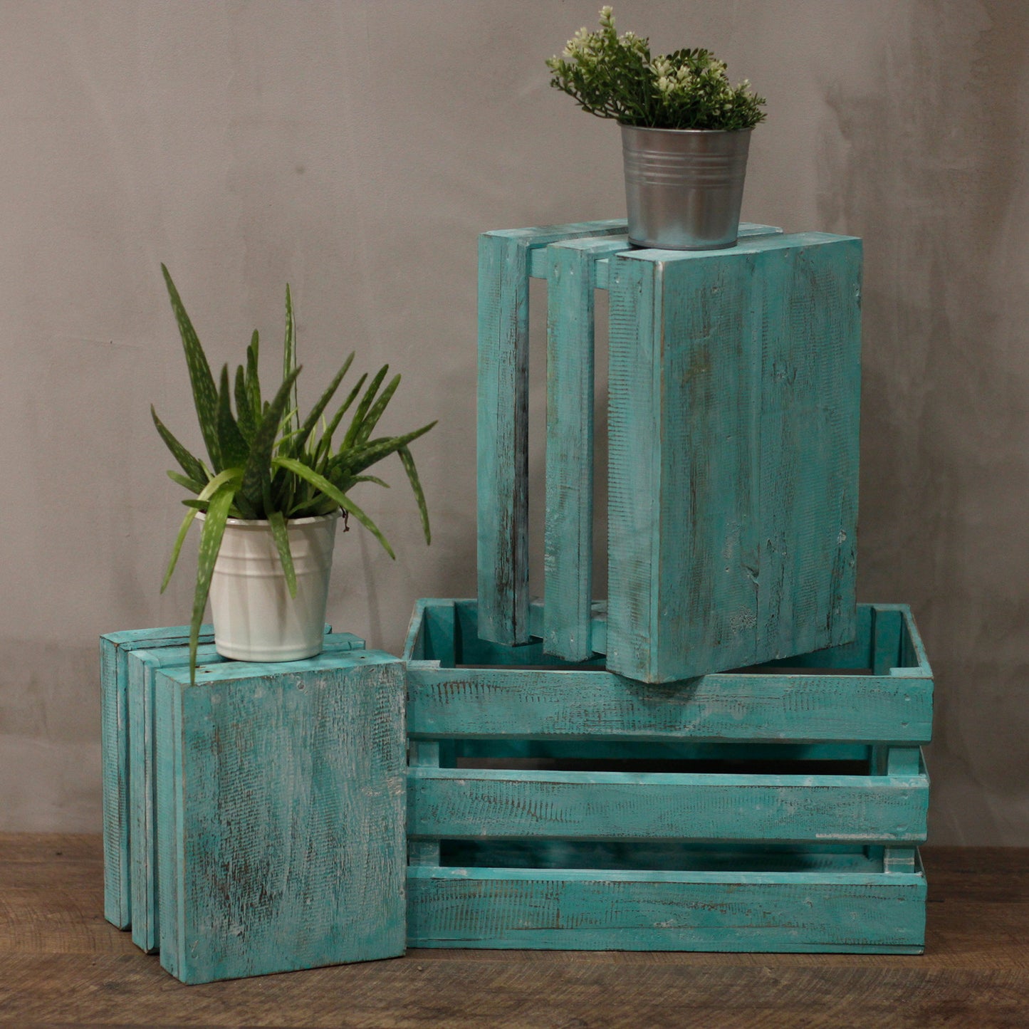 Set of 3 Storage/Display Boxes - Greenwash