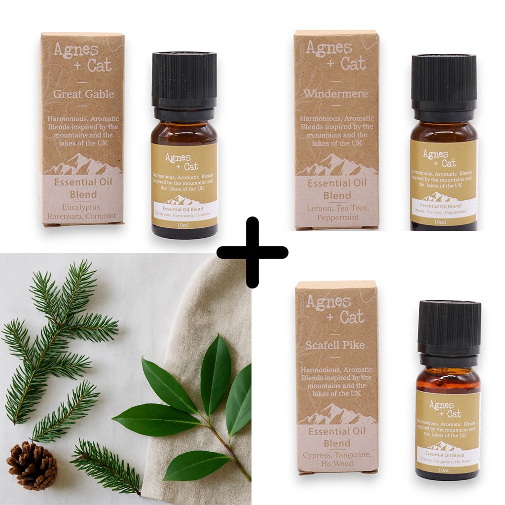 Agnes & Cat - Forest Retreat Set Of 3 Essential Oil Blends