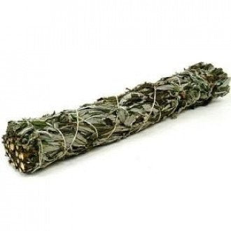 Smudge Stick (California) - Black Sage 15cm