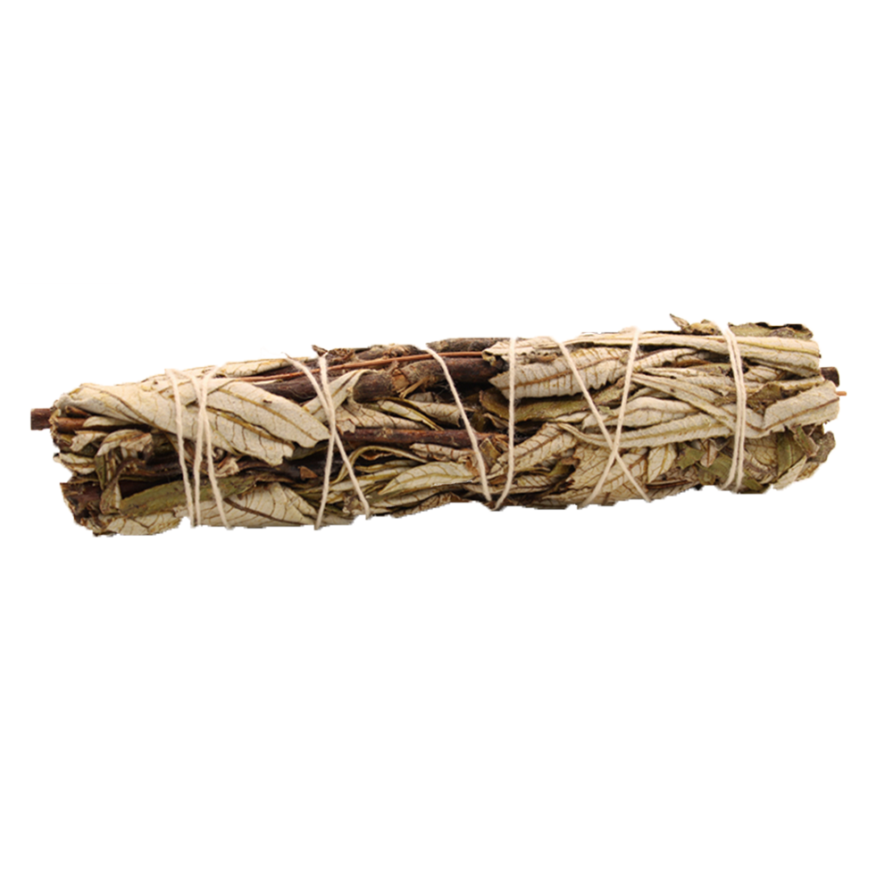 Smudge Stick (California) - Black Sage 15cm