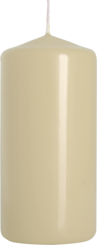 Pillar Candle 50x100mm - Ivory (8 Pack)