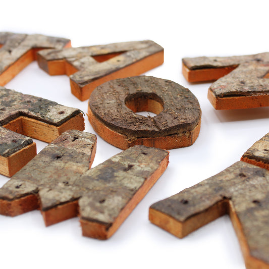 Colour Rustic Bark Letters - HOME (4)