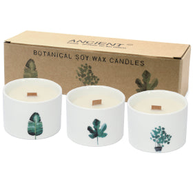 Botanical Woodwick Candles - Japanese Garden (3 Pack)