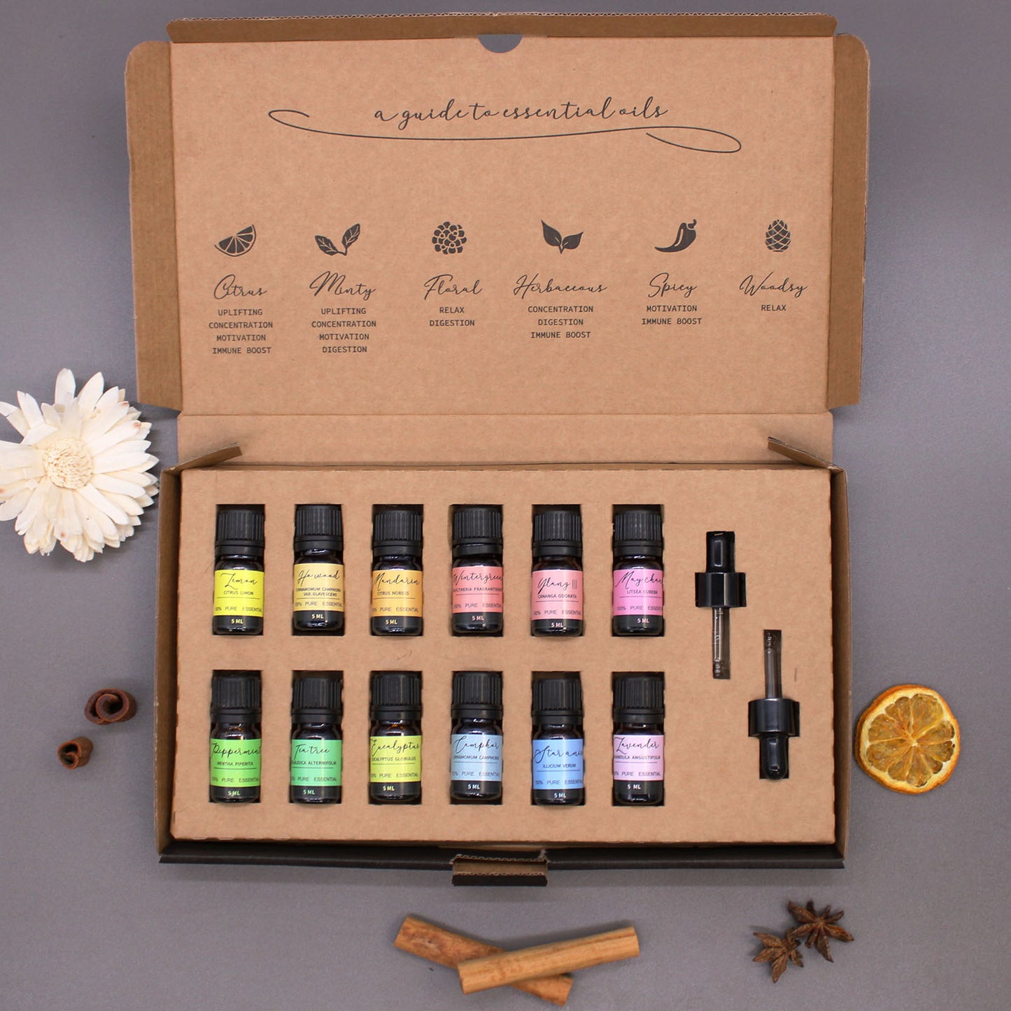 Aromatherapy Essential Oil Set - Starter Pack