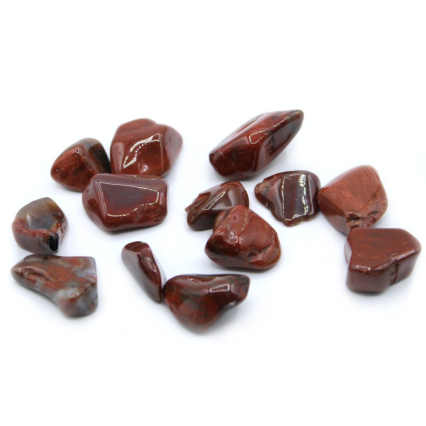 Pack of 24 L Tumble Stone - Petrified Wood L