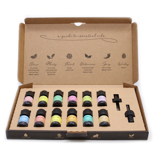 Aromatherapy Essential Oil Set - The Top 12