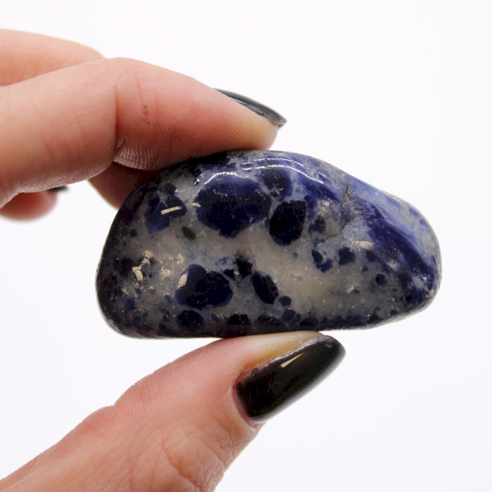 Bag of 12 Medium African Tumble Stones - Sodalite - Pure Blue