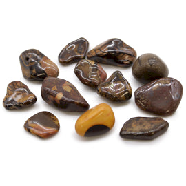 Bag of 12 Medium African Tumble Stones - Picture Nguni Jasper