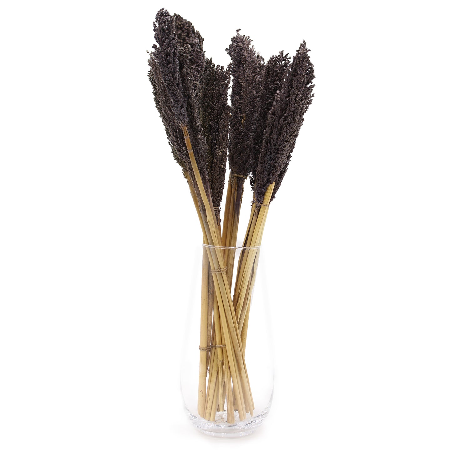 Cantal Grass Bunch - Black