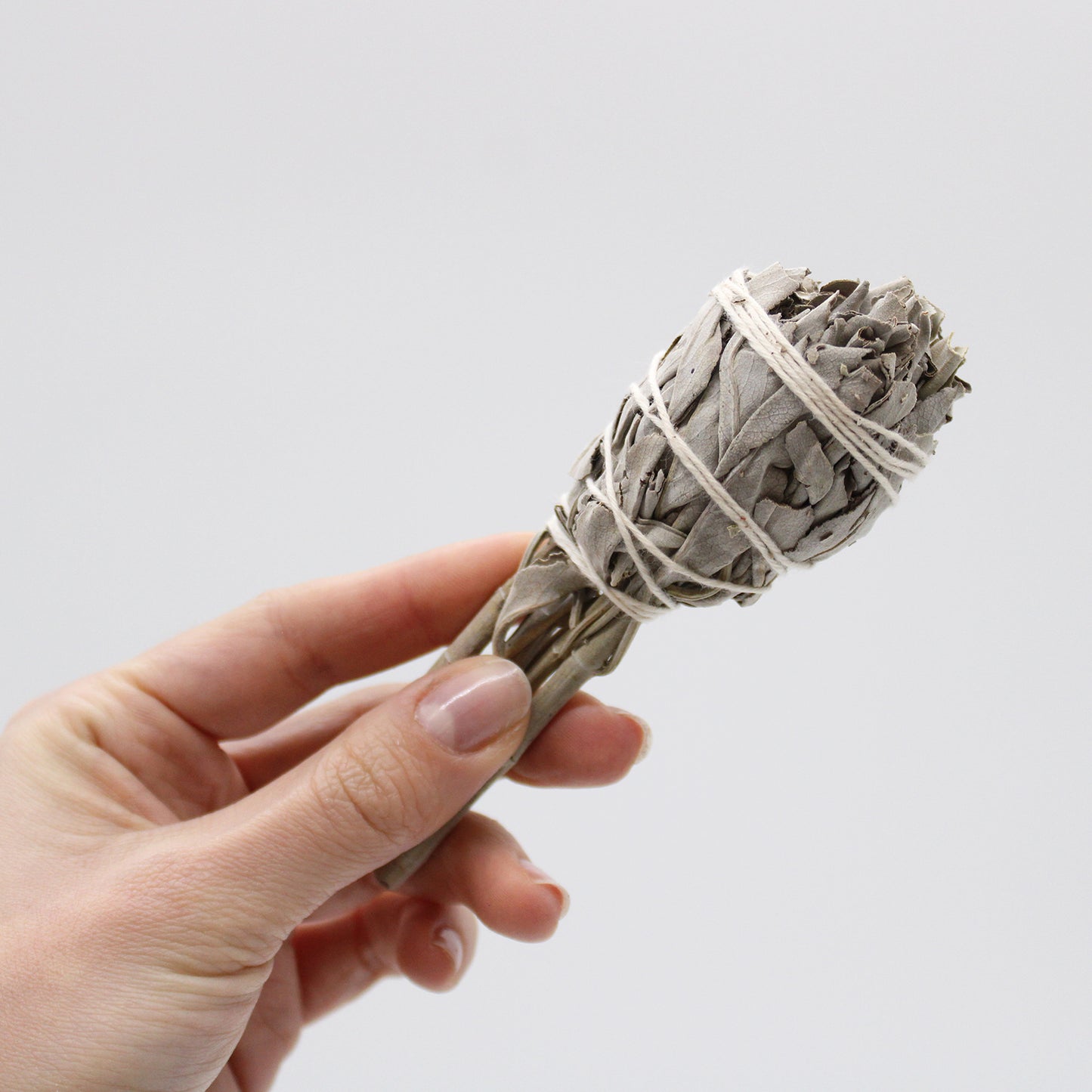 Smudge Stick (California) - Mini White Sage Torch 10cm