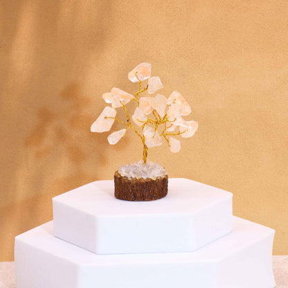 Mini Gemstone Trees On Wood Base - Clear Quartz (15 stones)