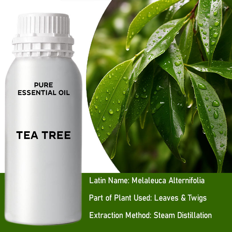 Tea Tree 0.5Kg