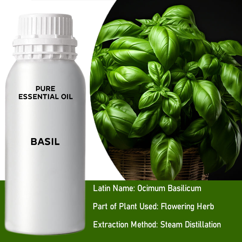 Basil 0.5Kg