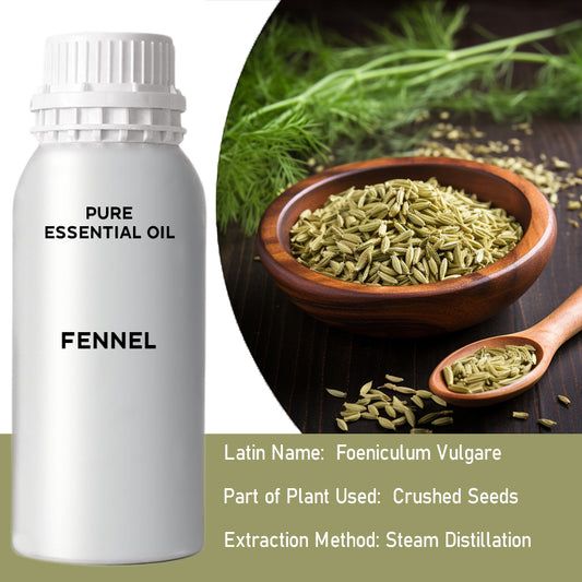 Fennel  0.5Kg