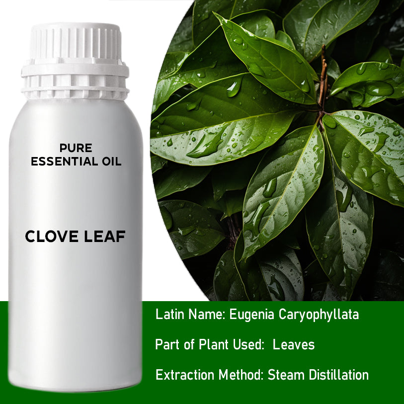 Clove Leaf  0.5Kg