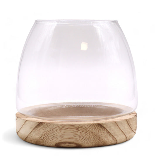 Medium Terarium on Natural Tung Wood - 15x15cm