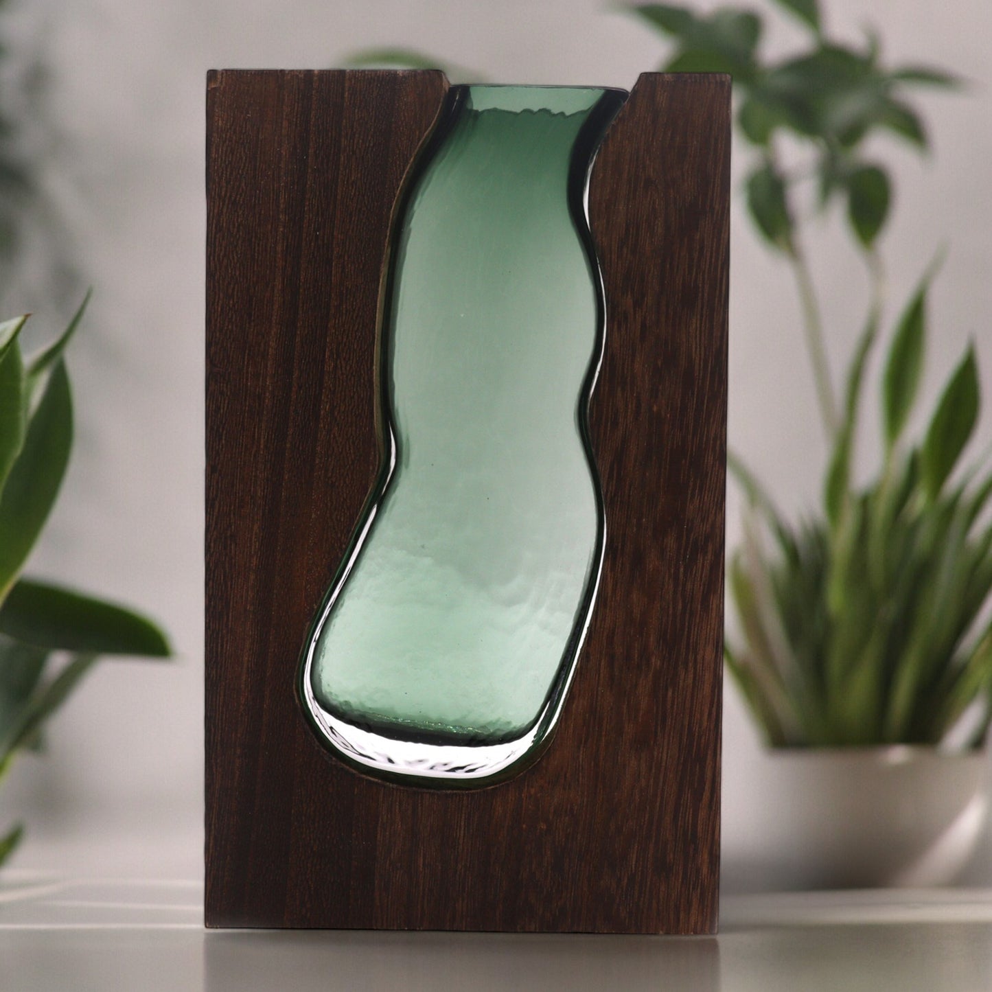 Lrg Glass Vase / Terarium inside Dark Tung Wood - 18x5x32cm