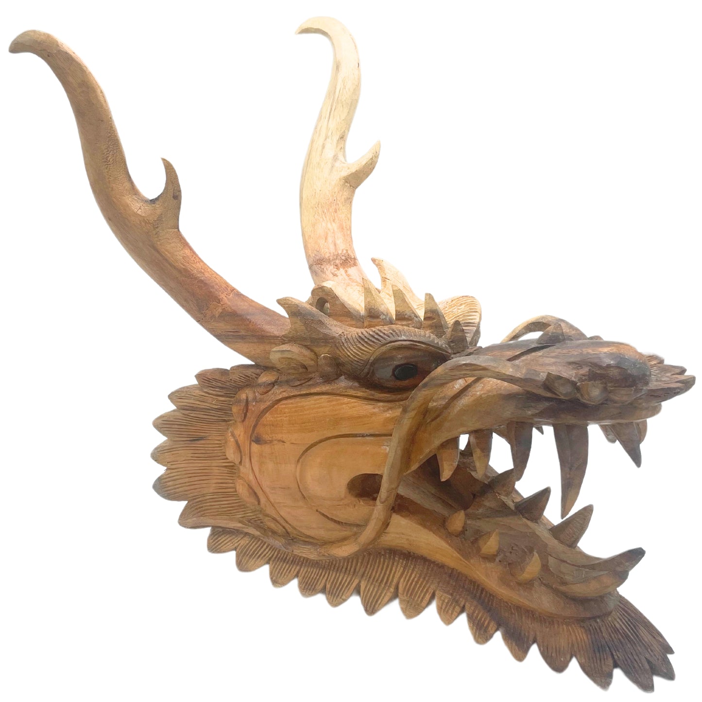 Live Size Dragon Head Carving  - 30cm