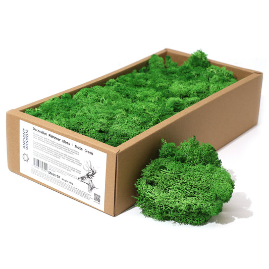 Quality Decoration Reindeer Moss - Moss Green -  635g Box