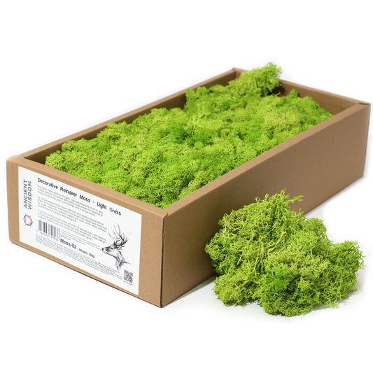 Quality Decoration Reindeer Moss - Light Grass  -  635g Box