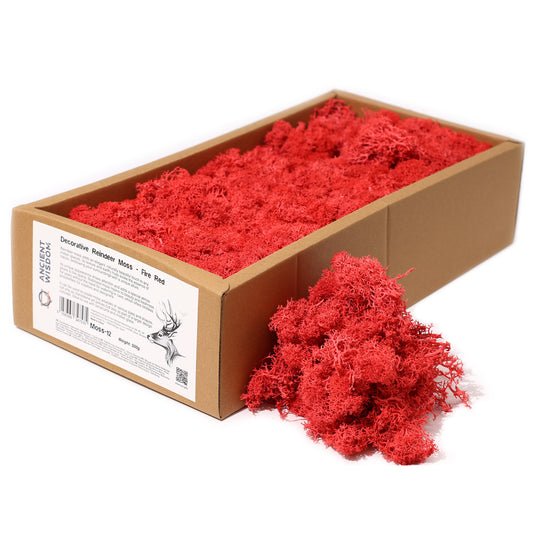 Quality Decoration Reindeer Moss - Fire Red - 635g Box