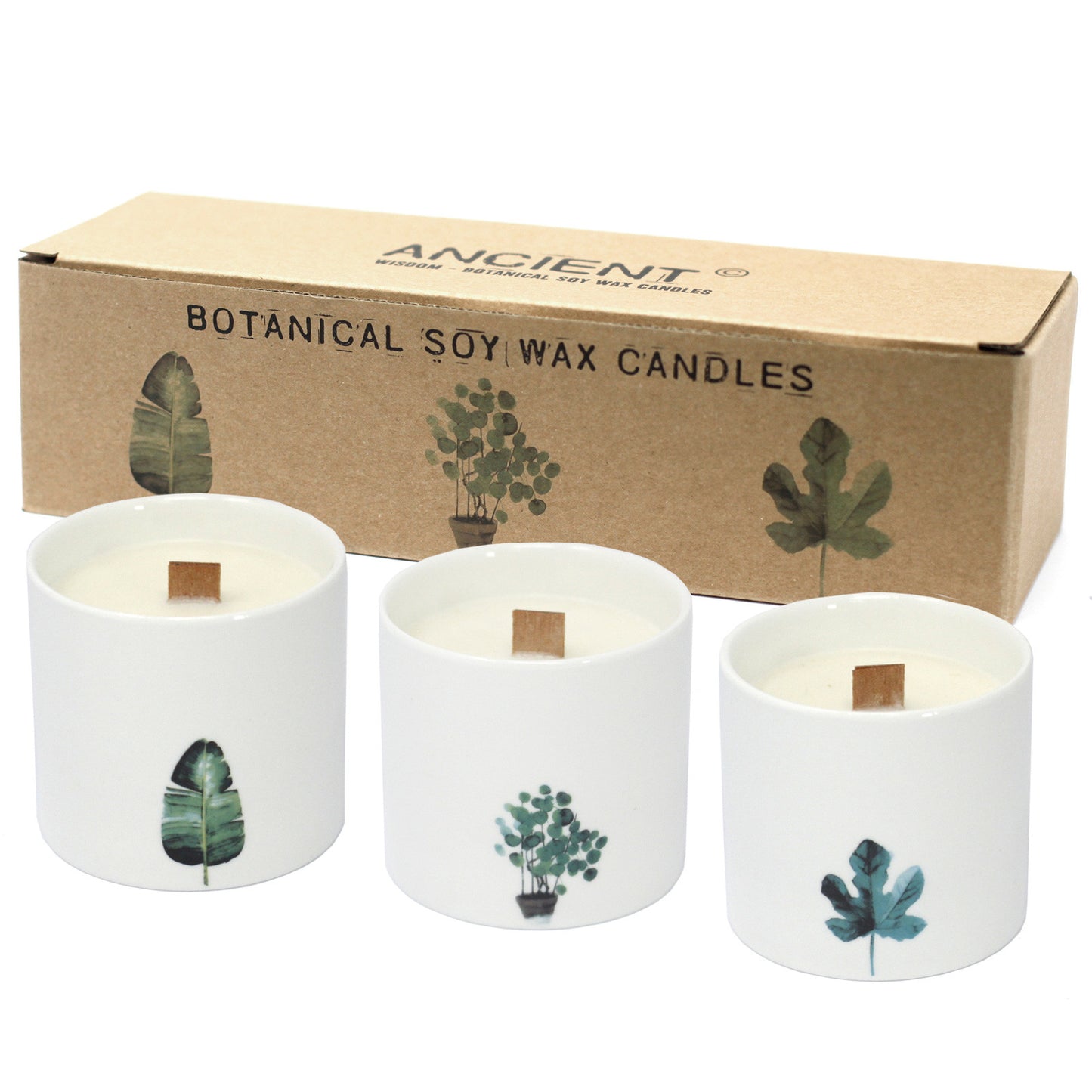 Large Botanical Woodwick Candles - Wild Jasmine (3 Pack)