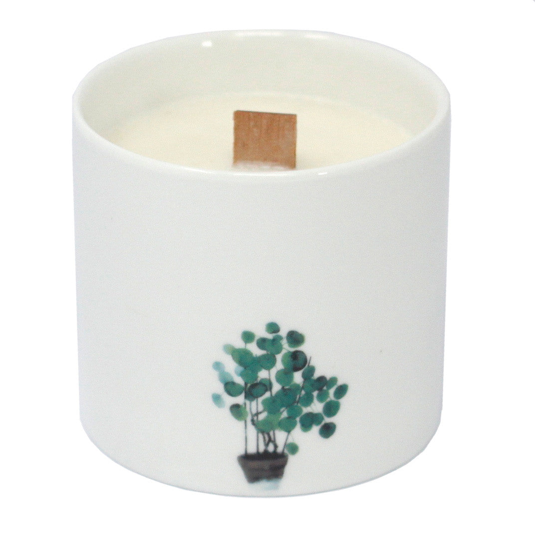 Large Botanical Woodwick Candles - Wild Jasmine (3 Pack)