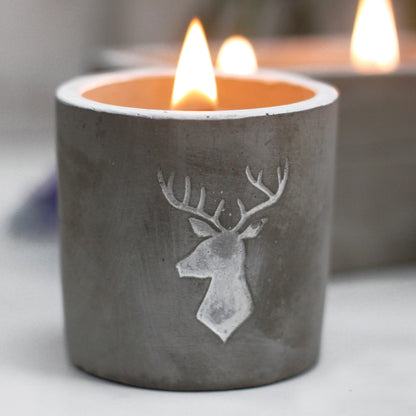 Medium Concrete Soy Woodwick Candle - Stag Head - Whiskey & Woodsmoke
