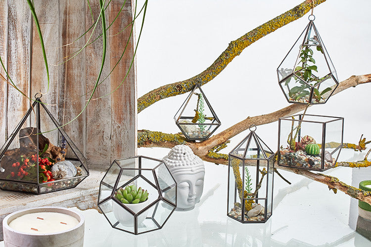 Glass Terrarium - Lantern Shape