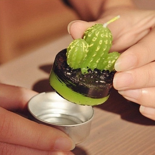 Set of 6 Monks Cactus Tealights in Gift Box