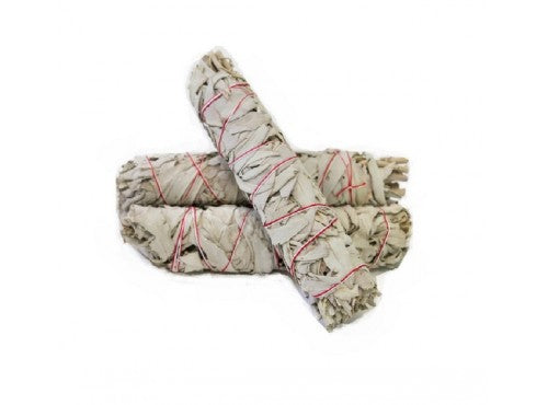 White Sage Smudge Stick (8" Stick)