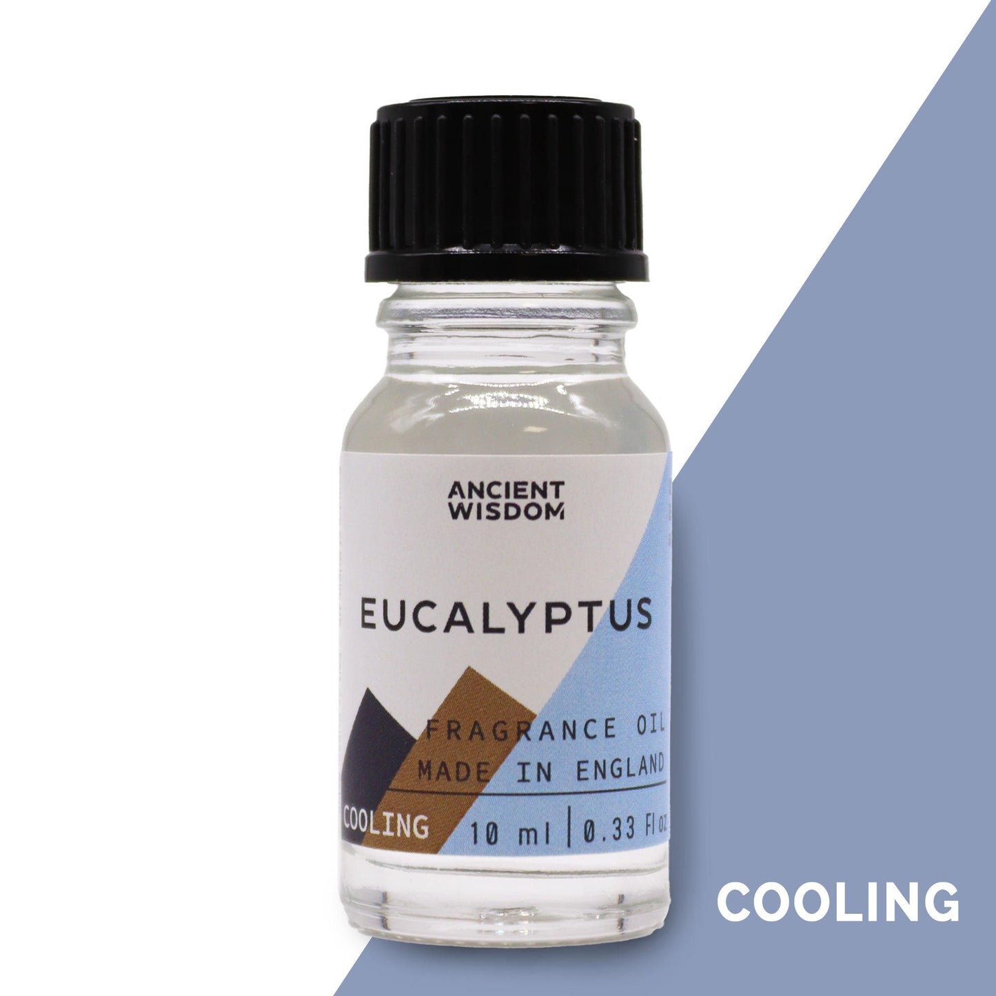 Eucalyptus Fragrance Oil 10ml