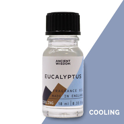 Eucalyptus Fragrance Oil 10ml